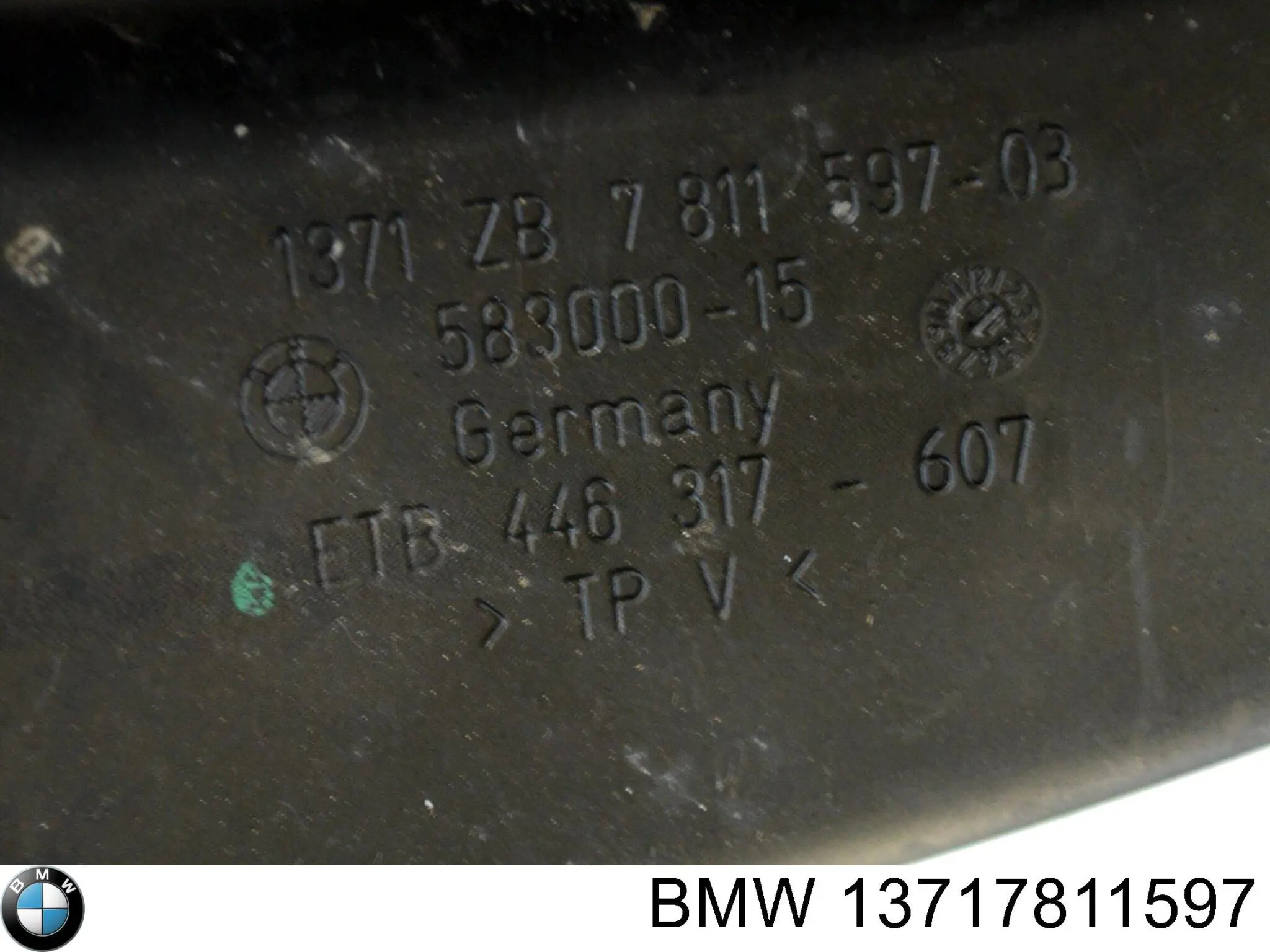 Купити 13717811597 BMW Патрубок повітряний, вхід повітряного фільтра