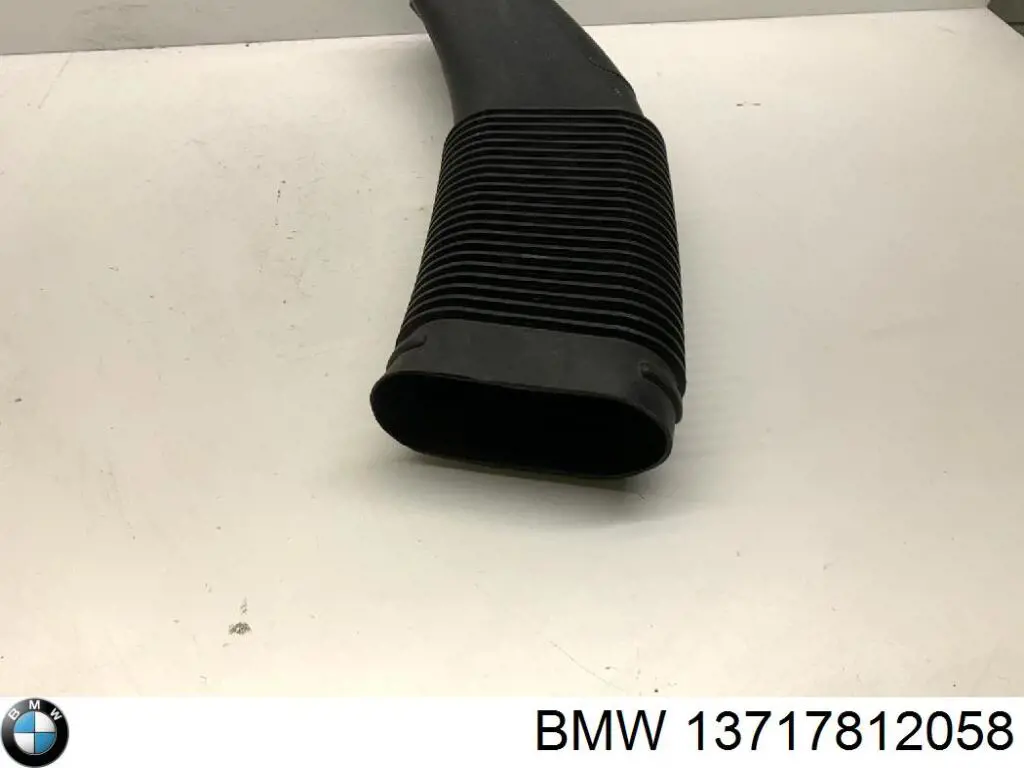 Повітрозабірник повітряного фільтра 13717812058 BMW
