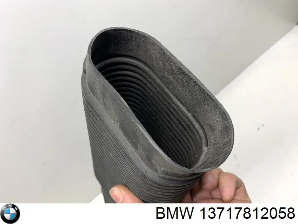 13717812058 BMW Повітрозабірник повітряного фільтра