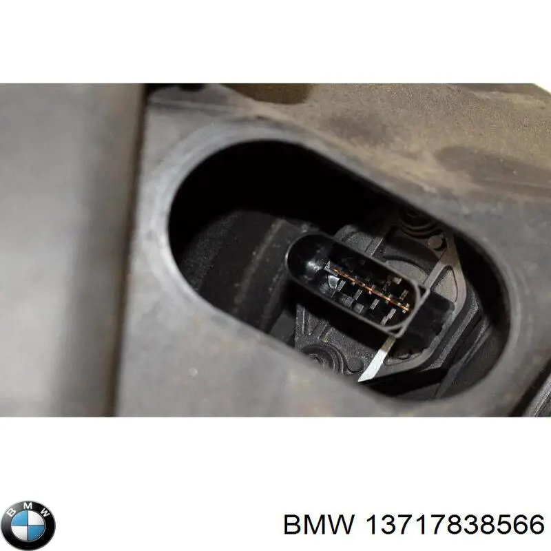  13717838566 BMW