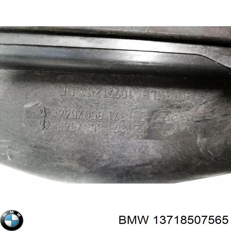 13718507565 BMW Коробка фільтра