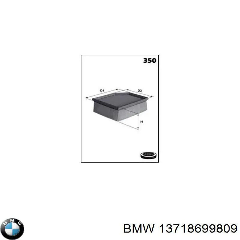 13718699809 BMW Повітряний фільтр двигуна