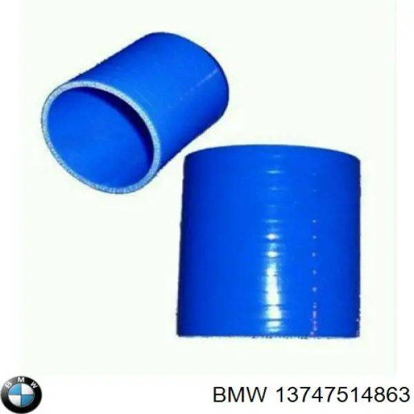  13747514863 BMW