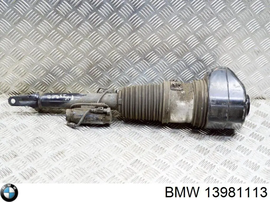13981113 BMW 