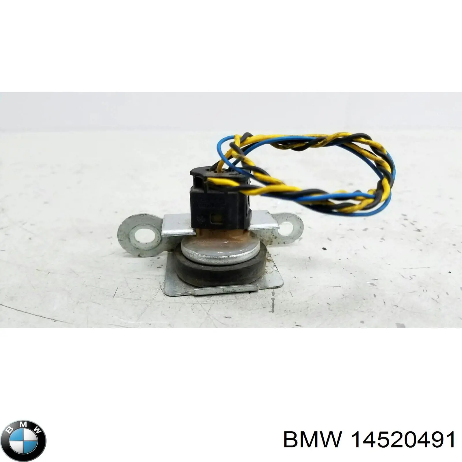  14520491 BMW