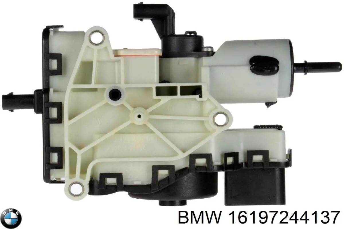  16197244137 BMW
