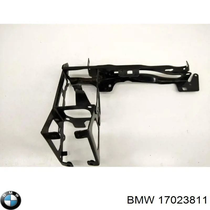 Купити 17023811 BMW 