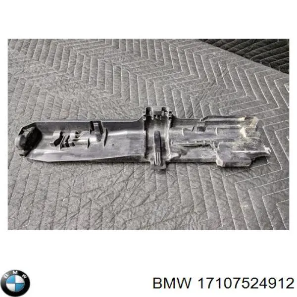Кронштейн радіатора лівий BMW 7524912 ціна, від 13.88 USD