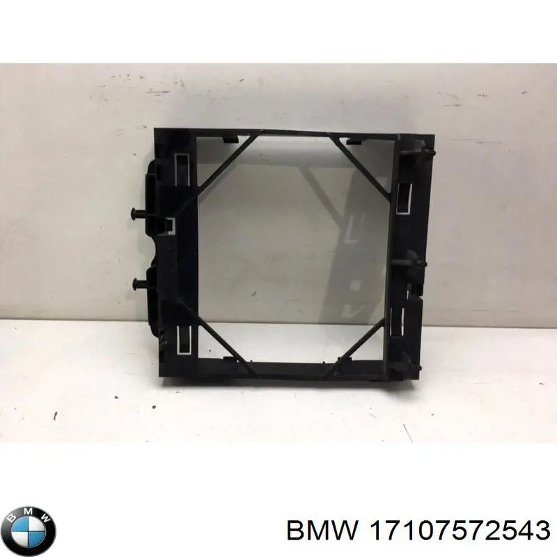 17107572543 BMW 