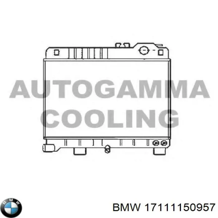 Купити 17111176181 BMW Радіатор двигуна
