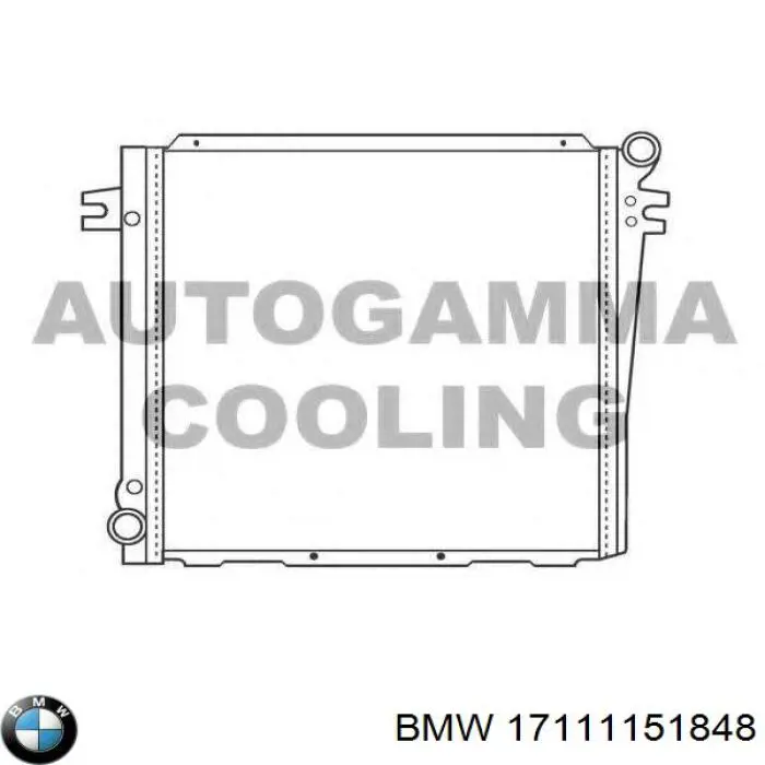 17111151848 BMW