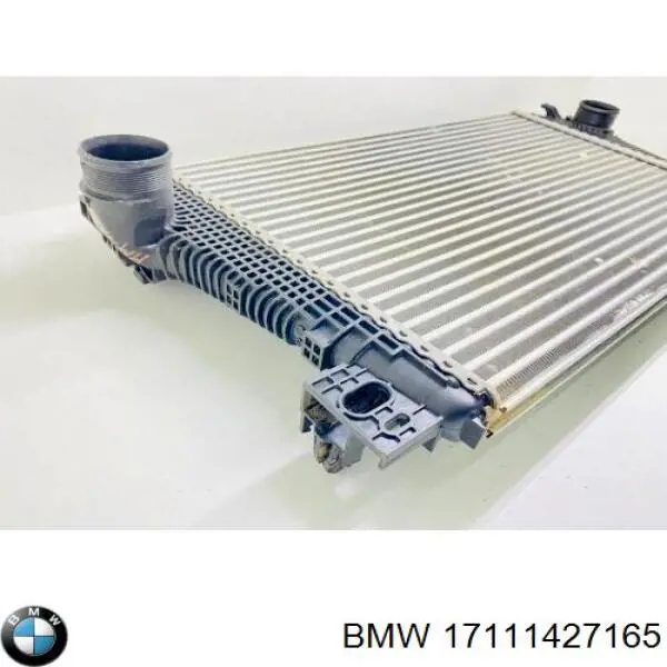 Радіатор охолодження BMW 17101715319