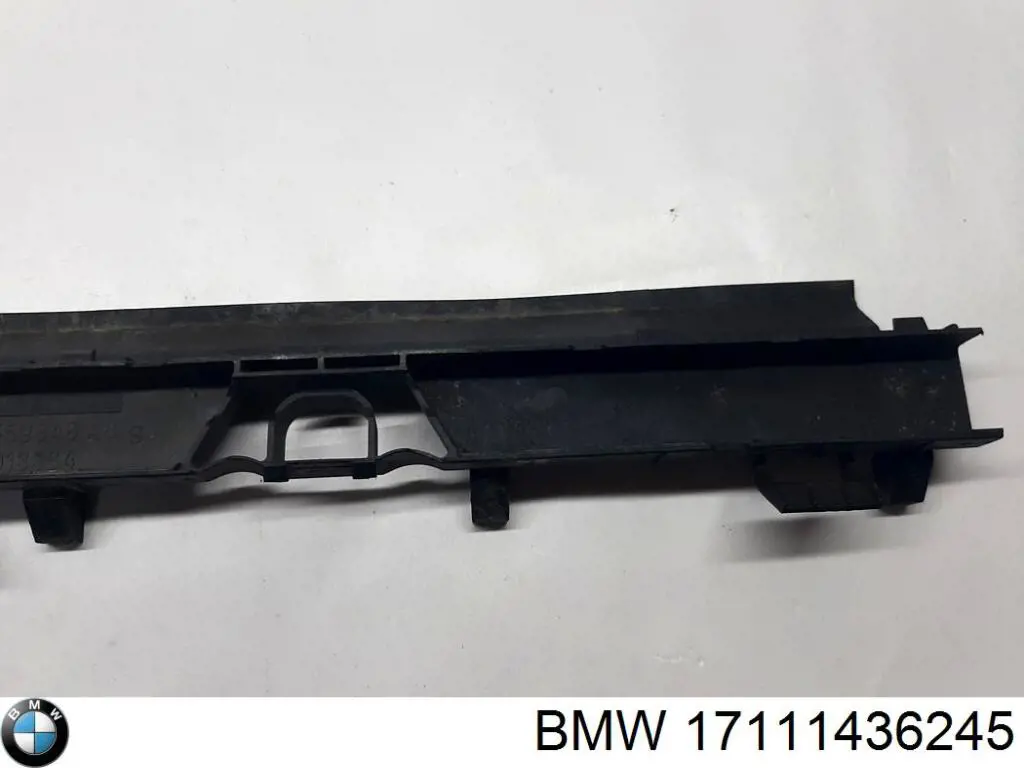 Кронштейн радіатора нижній BMW 17111436245 ціна, від 12.67 USD