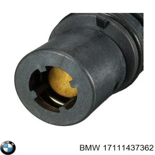 термостат додатковий BMW 17111437362
