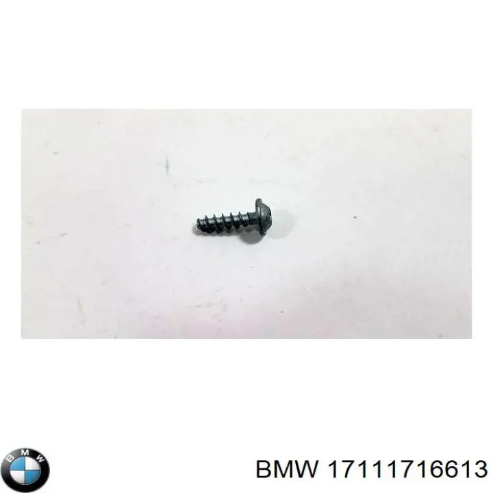 Купити 17110300366 BMW Болт компресора кондиціонера