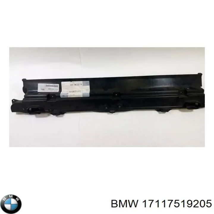  17117519205 BMW