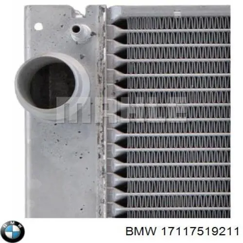 Купити 17117519211 BMW Радіатор двигуна