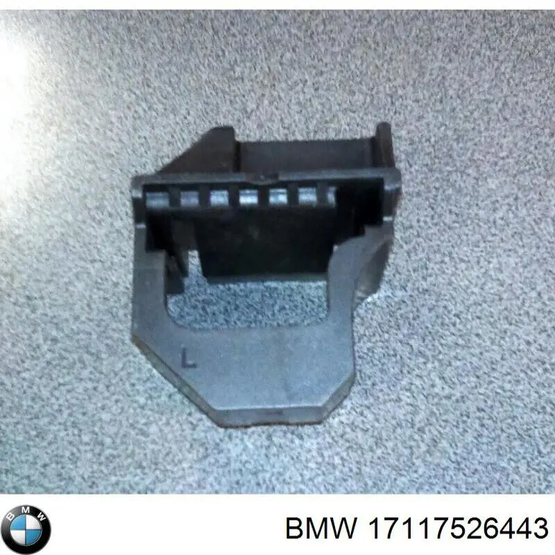 17117526443 BMW 