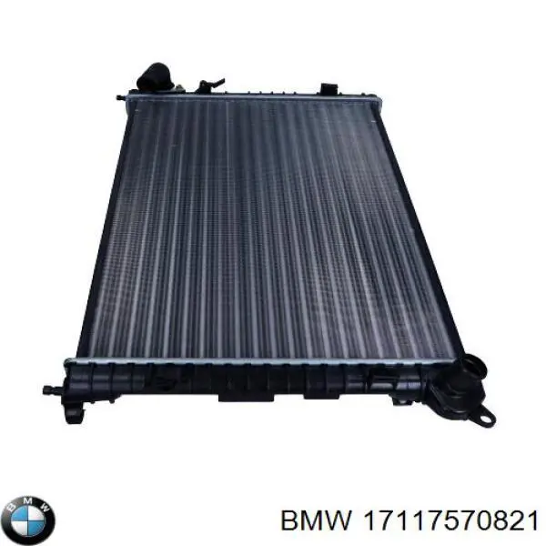 17117570821 BMW Радіатор охолодження двигуна
