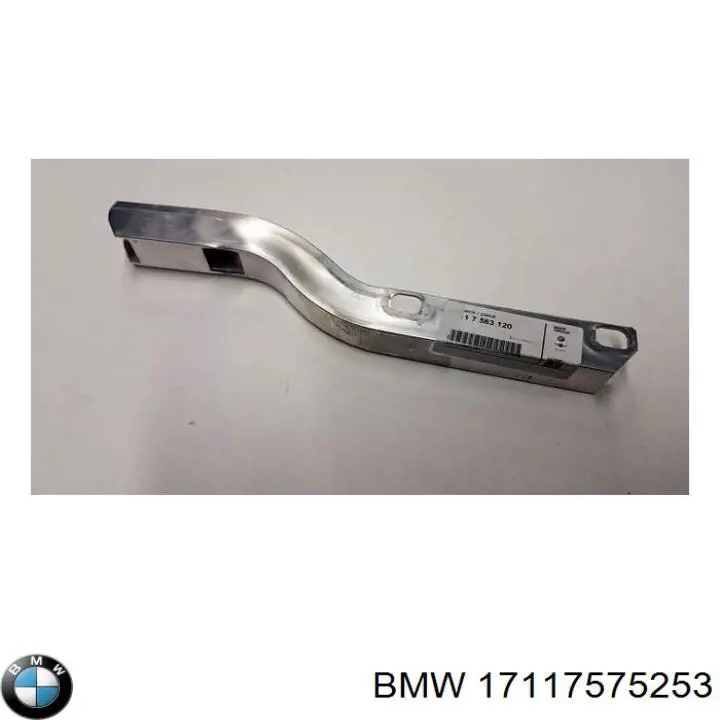 17117575253 BMW 