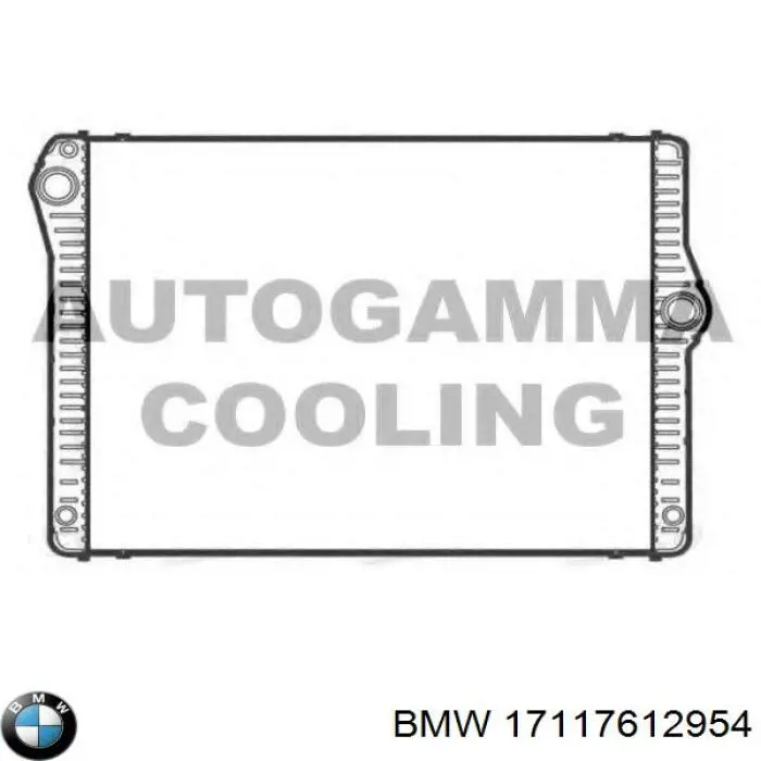 Радіатор охолодження двигуна 17117612954 BMW