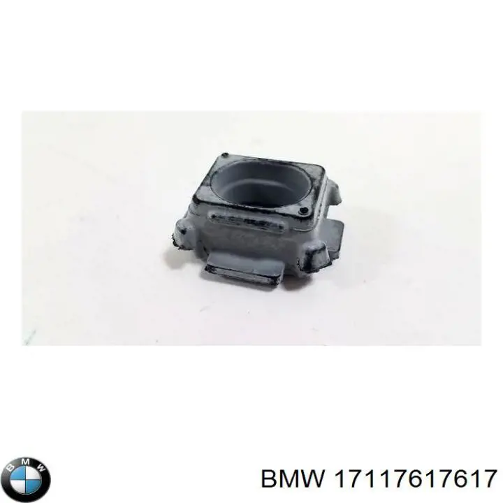  17117617617 BMW