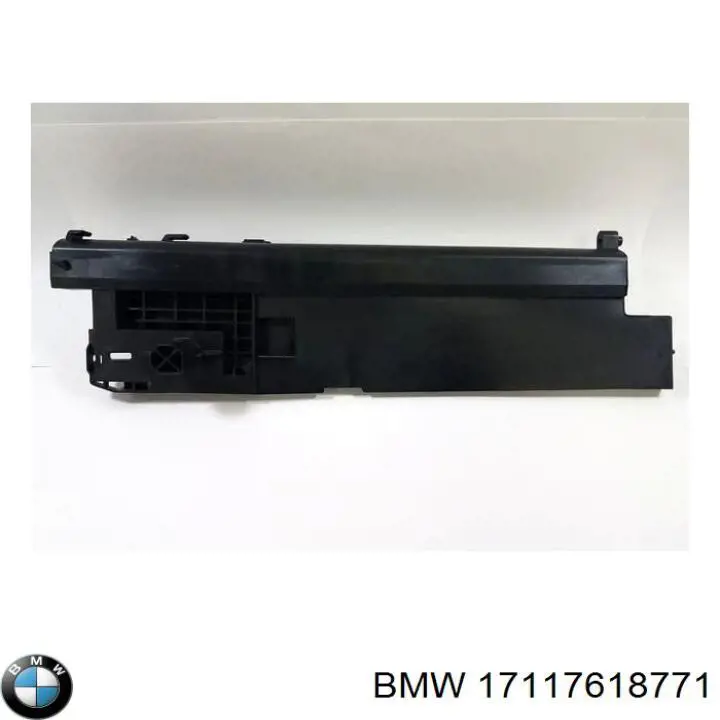 Кронштейн радіатора лівий BMW 17117618771 ціна, від 66.15 USD