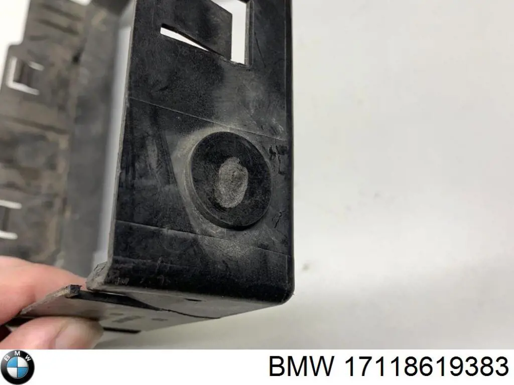 17118619383 BMW 
