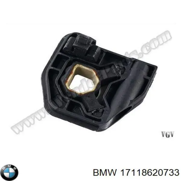 Кронштейн радіатора нижній Bapmic TOPT1217022 ціна, від 8.95 USD
