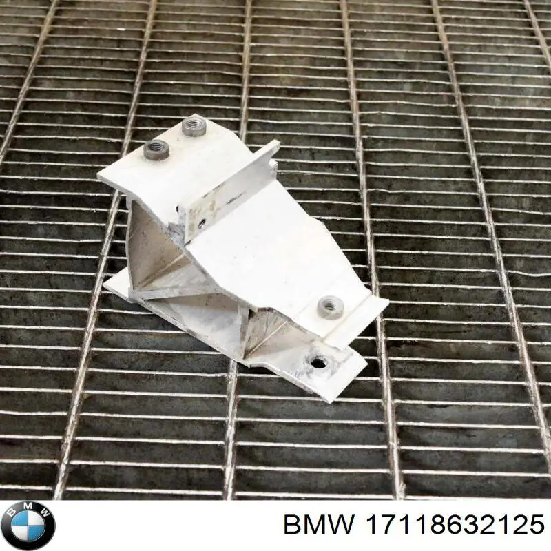 Кронштейн радіатора нижній BMW 17118632125 ціна, від 40.57 USD