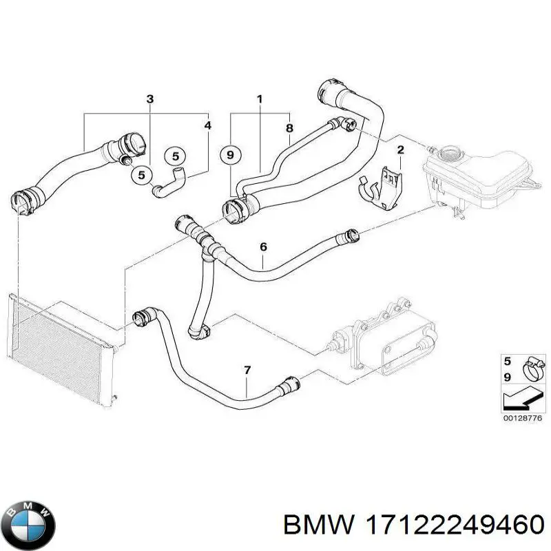 Купити 17122249460 BMW Шланг/патрубок радіатора охолодження, нижній