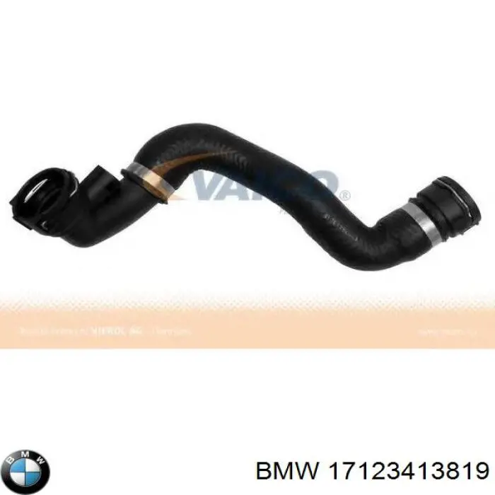Купити 17123413819 BMW Шланг/патрубок радіатора охолодження, нижній