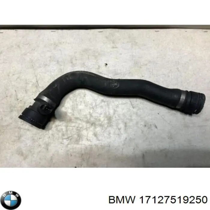 Купити 17127519250 BMW Шланг/патрубок радіатора охолодження, нижній