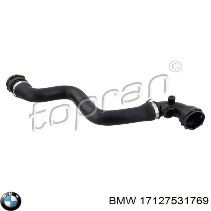Купити 17127531769 BMW Шланг/патрубок радіатора охолодження, нижній