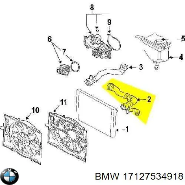 Купити 17127534918 BMW Шланг/патрубок радіатора охолодження, верхній