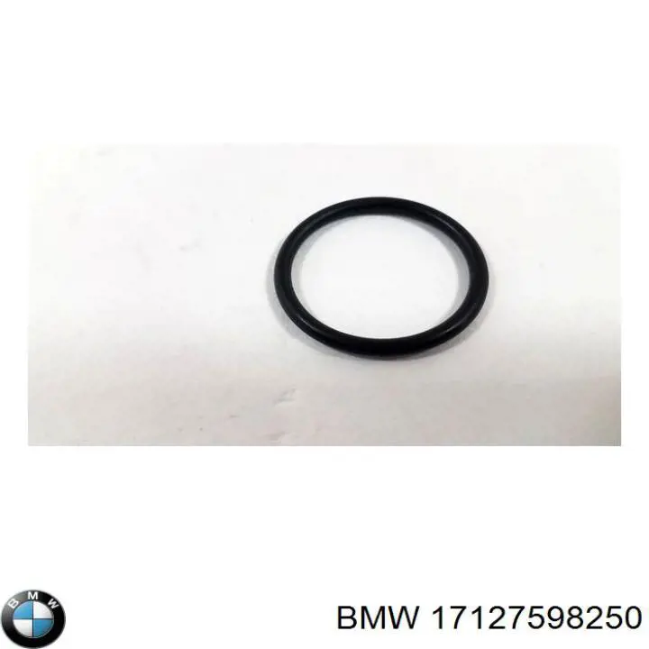  BMW 17127598250 ціна, від 141.99 USD