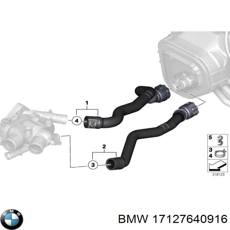 Шланг/патрубок радіатора охолодження, нижній на BMW 5 (F10)