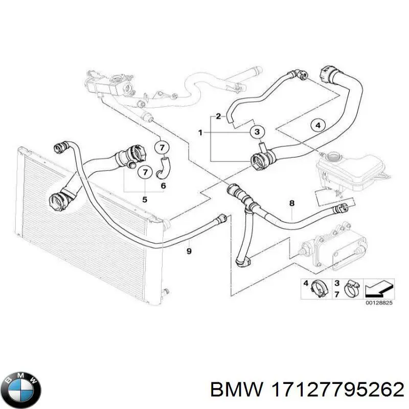 Купити 17127795262 BMW Шланг/патрубок радіатора охолодження, нижній