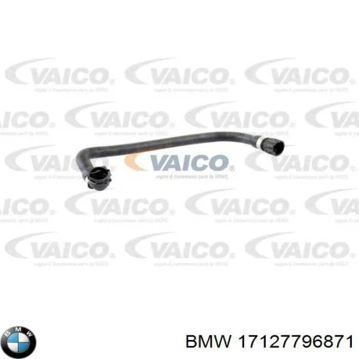 17127796871 BMW Шланг/патрубок радіатора охолодження, нижній
