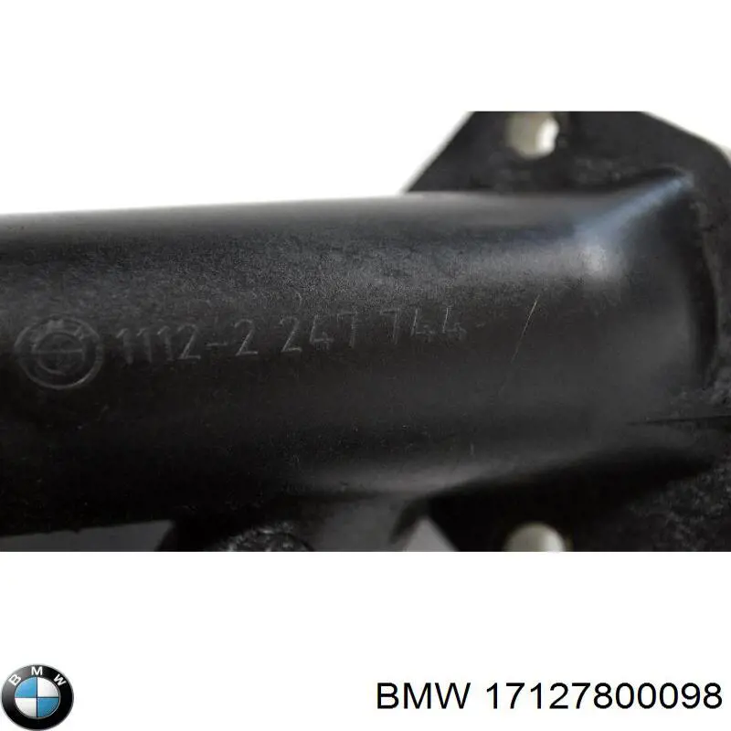 17127800098 BMW 