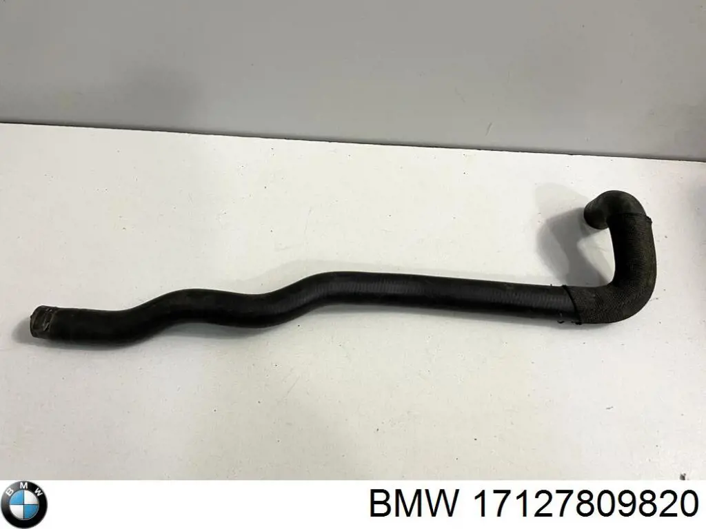 Купити 17127809820 BMW Шланг/патрубок радіатора охолодження, нижній