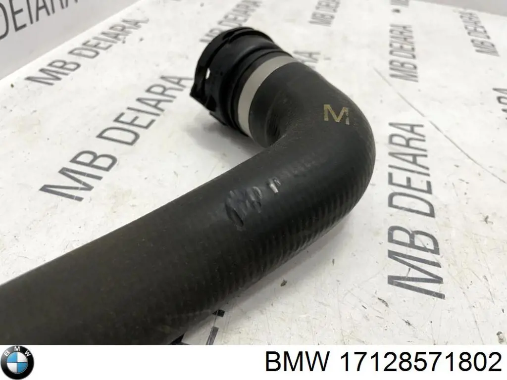 Шланг/патрубок радіатора охолодження, нижній BMW 17128589900 ціна, від 88.74 USD