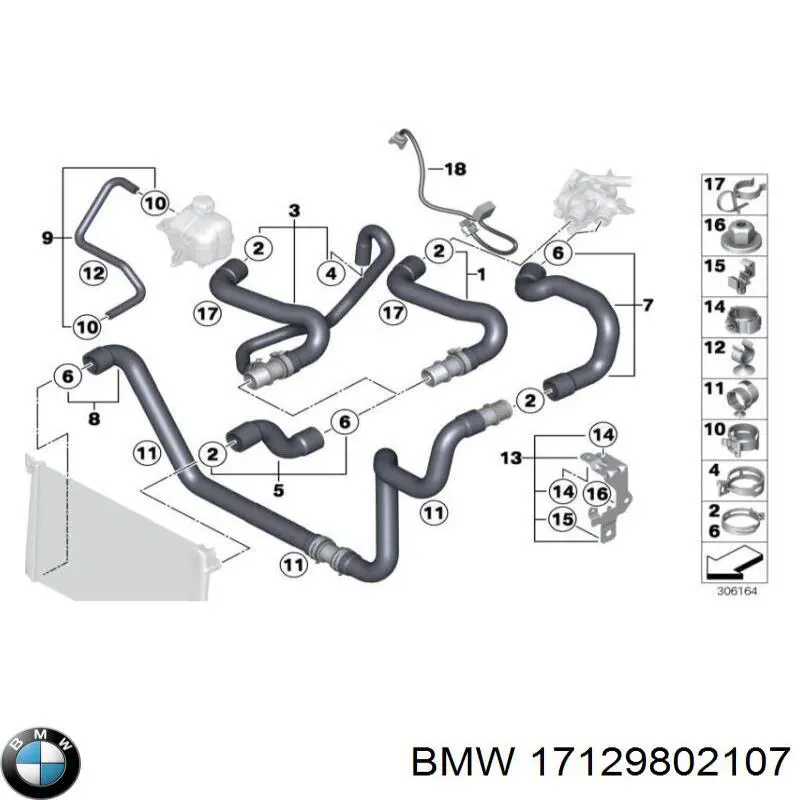 17129802107 BMW 
