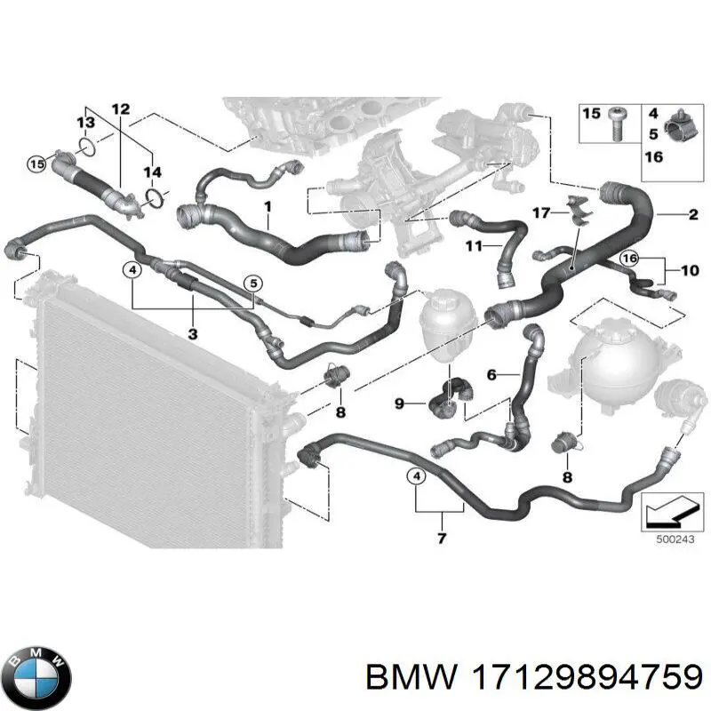 17129894759 BMW Шланг/патрубок радіатора охолодження, нижній