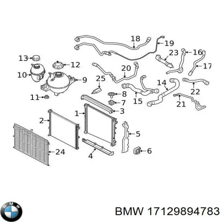 Шланг/патрубок радіатора охолодження, нижній BMW 17129894783 ціна, від 105.74 USD