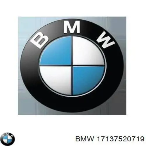 17137520719 BMW Розширювальний бачок охолодження