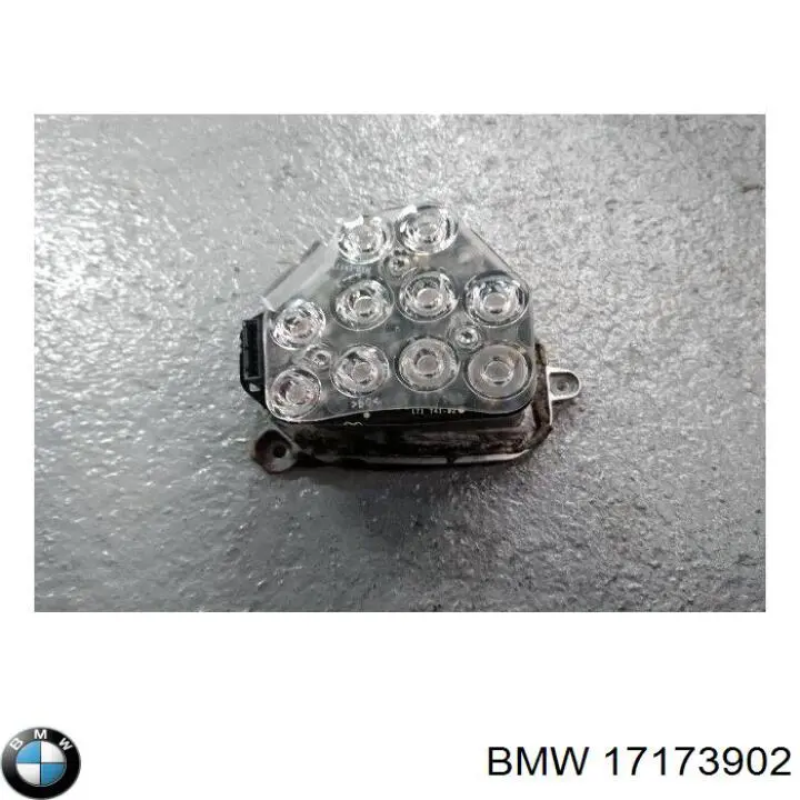 17173902 BMW 