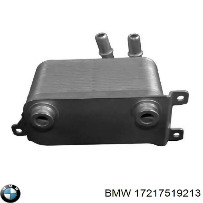 Радіатор масляний 17217519213 BMW