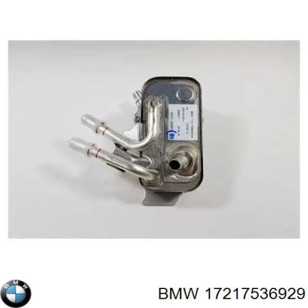 Купити 17217536929 BMW Радіатор охолодження, АКПП