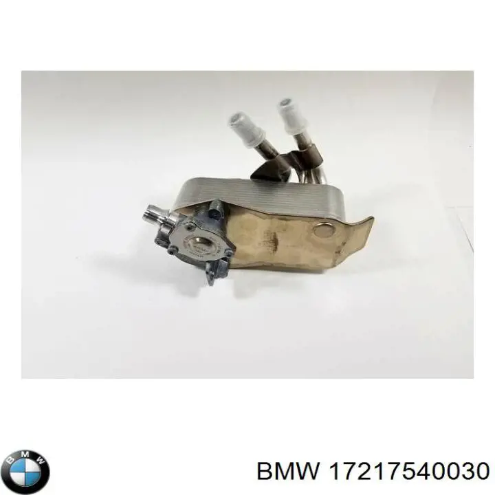 17217540030 BMW 